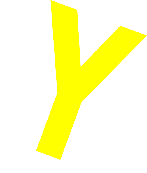 504x592 This Is A Antibody Clip Art