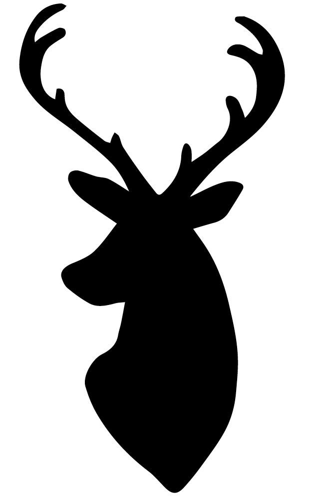 651x1006 Antler Clipart Simple