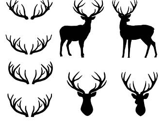 340x270 Deer Horn Clipart Etsy