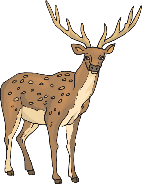 462x596 Deer With Large Antlers Clip Art