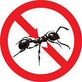 170x170 Colony Ants Clip Art