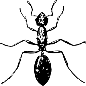 300x298 Ant Clip Art