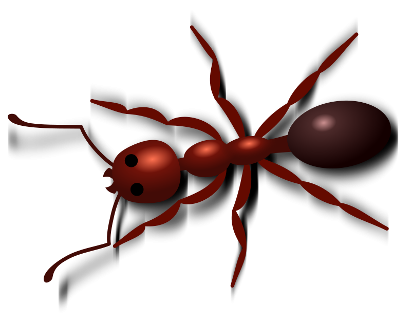 800x629 Free Red Ant Clip Art Clipart Panda