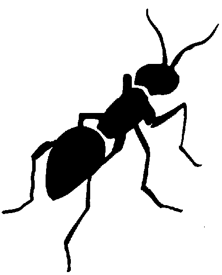 448x555 Ant Clipart Black And White Free Images