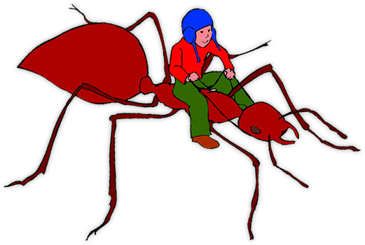 521x350 Ants Clip Art