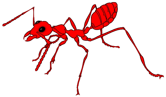 555x324 Ant Clip Art Free Clipart