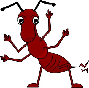 300x299 Fire Ant Clipart Kid