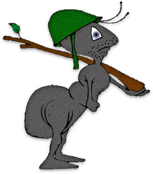 300x341 Free Ant Clipart Black Ants 4