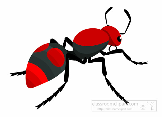550x400 Insect Clipart Red Ant