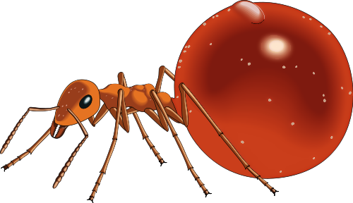 500x288 Ants Clip Art