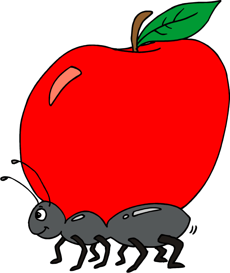 750x890 Ant Clipart Apple
