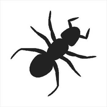 350x350 Free Ants Clipart