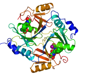 300x260 Making Backgrounds Of Animated Gif Files Transparent