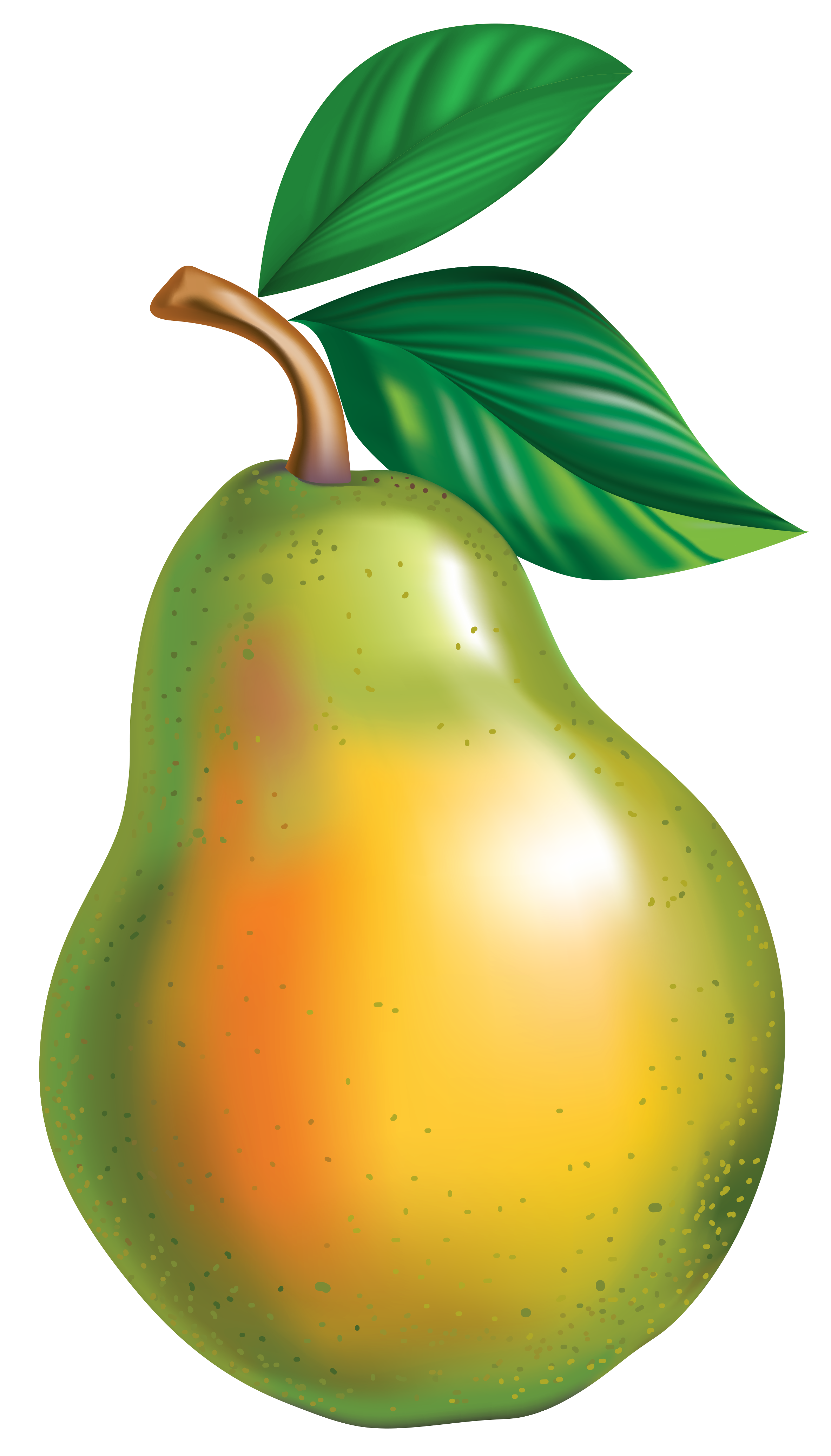 2367x4144 Pear Png Clipart Pictureu200b Gallery Yopriceville