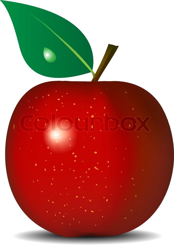 566x800 Vector Illustration Of Fresh Red Apple Isolated On White