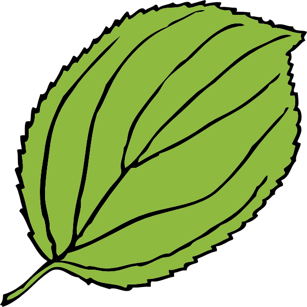 600x600 Apple Leaves Clipart, Free Apple Leaves Clipart