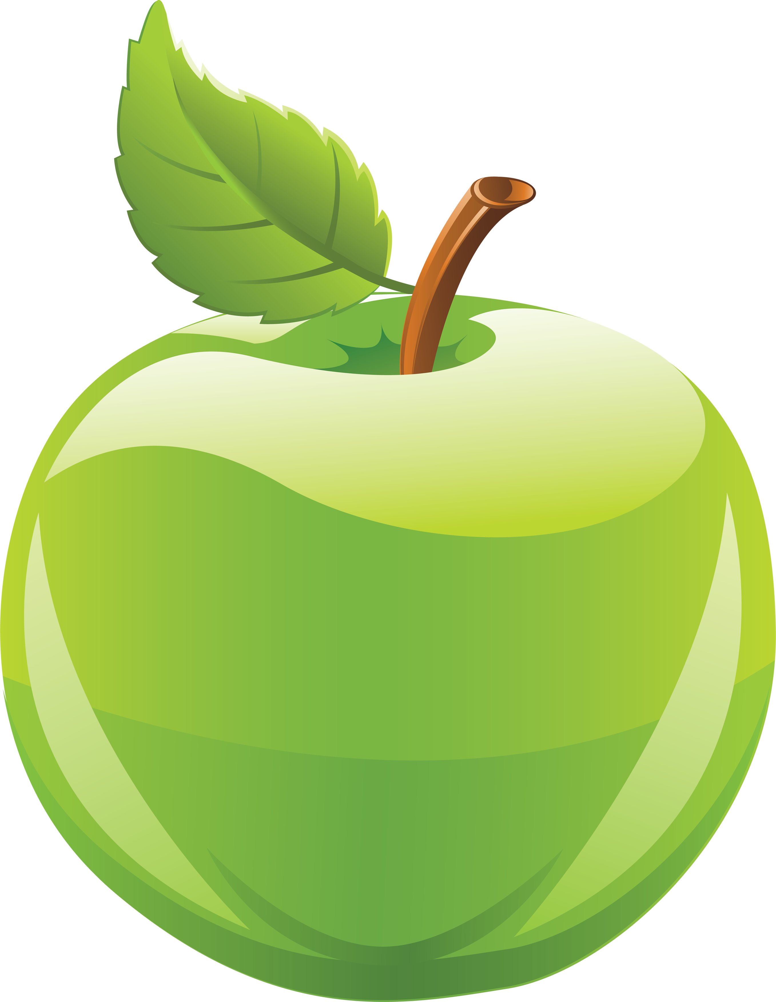 2714x3504 Fruits Green Apple Clipart