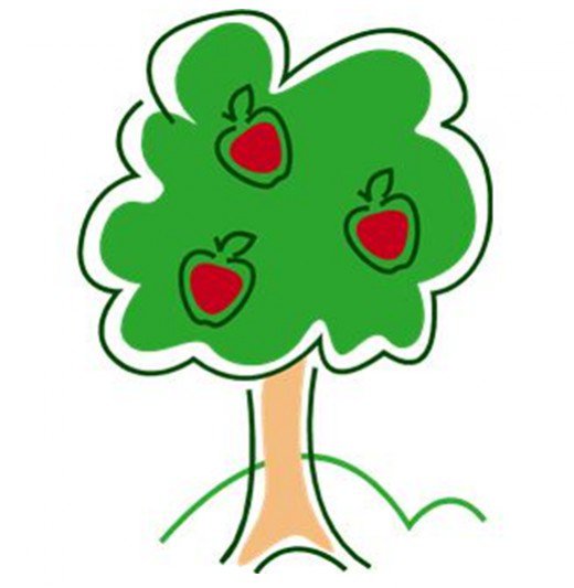520x533 Tree Apple Clipart, Explore Pictures