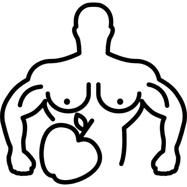626x626 Male Muscular Outline With Apple Icons Free Download