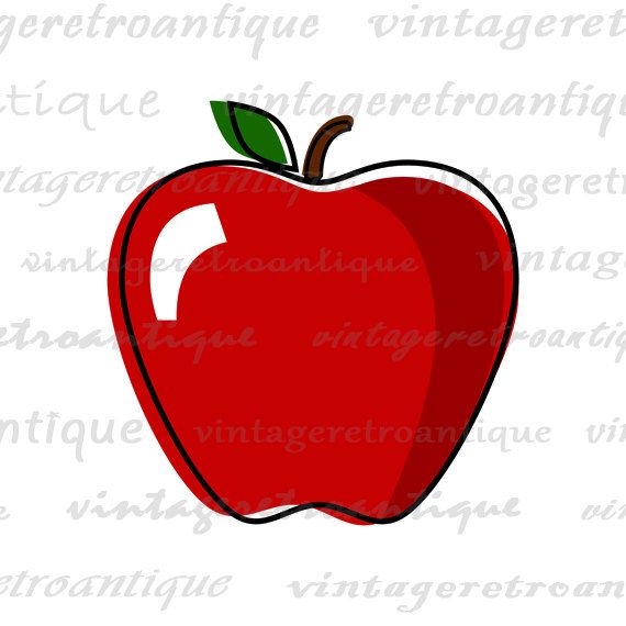570x570 High Resolution Clipart