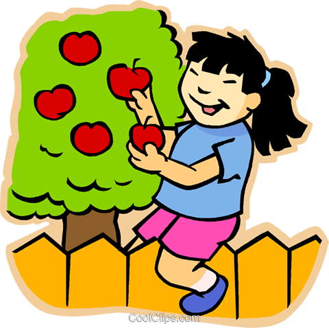 480x478 Girl Picking Apples Royalty Free Vector Clip Art Illustration