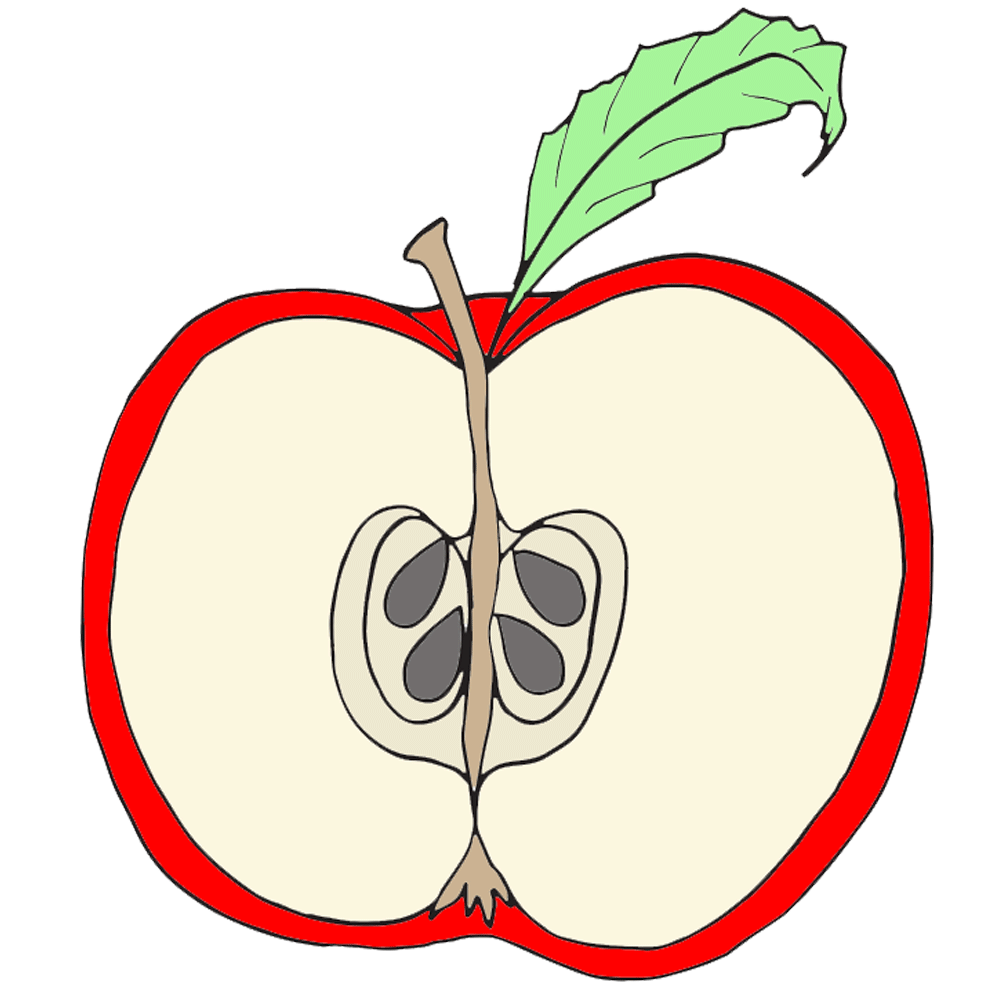 1000x1000 Apple Clipart Cut Out