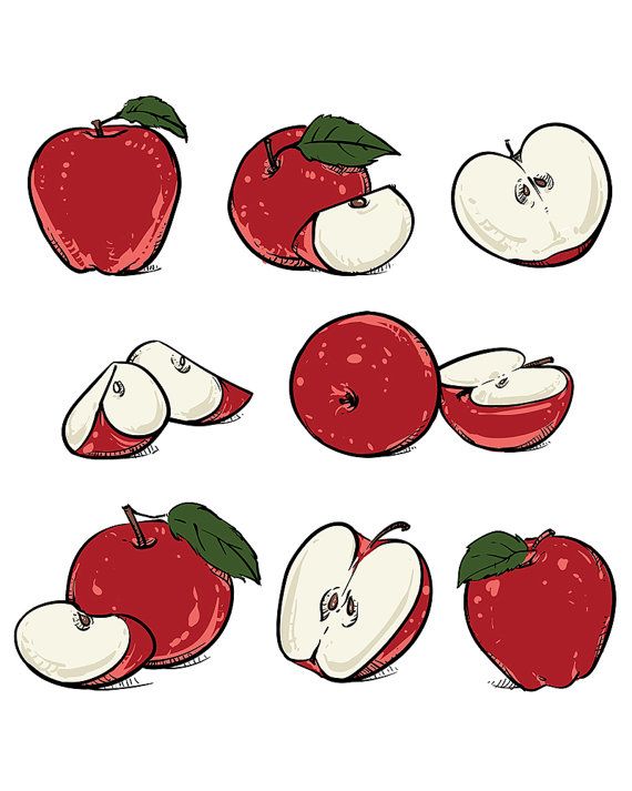 570x713 18 Best Etsy Fruit Clipart Hand Drawn Collection Of Fruits