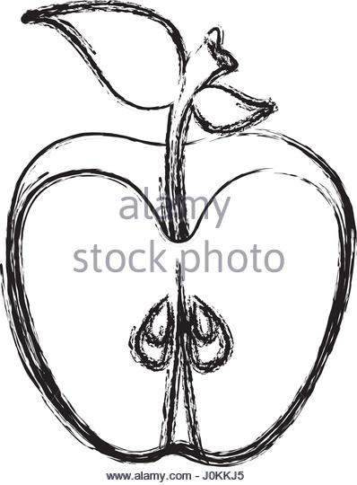 398x540 Vector Outline Apple Slice Fruit Stock Photos Amp Vector Outline