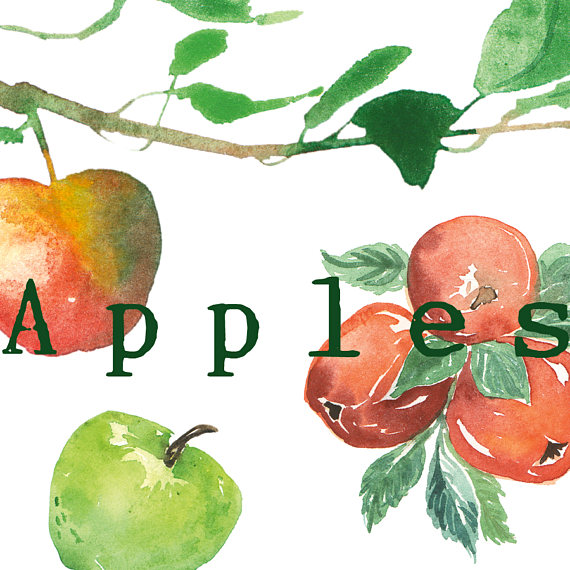 570x570 Apple Clip Art, Apple Tree Branch, Printable Apples, Watercolor