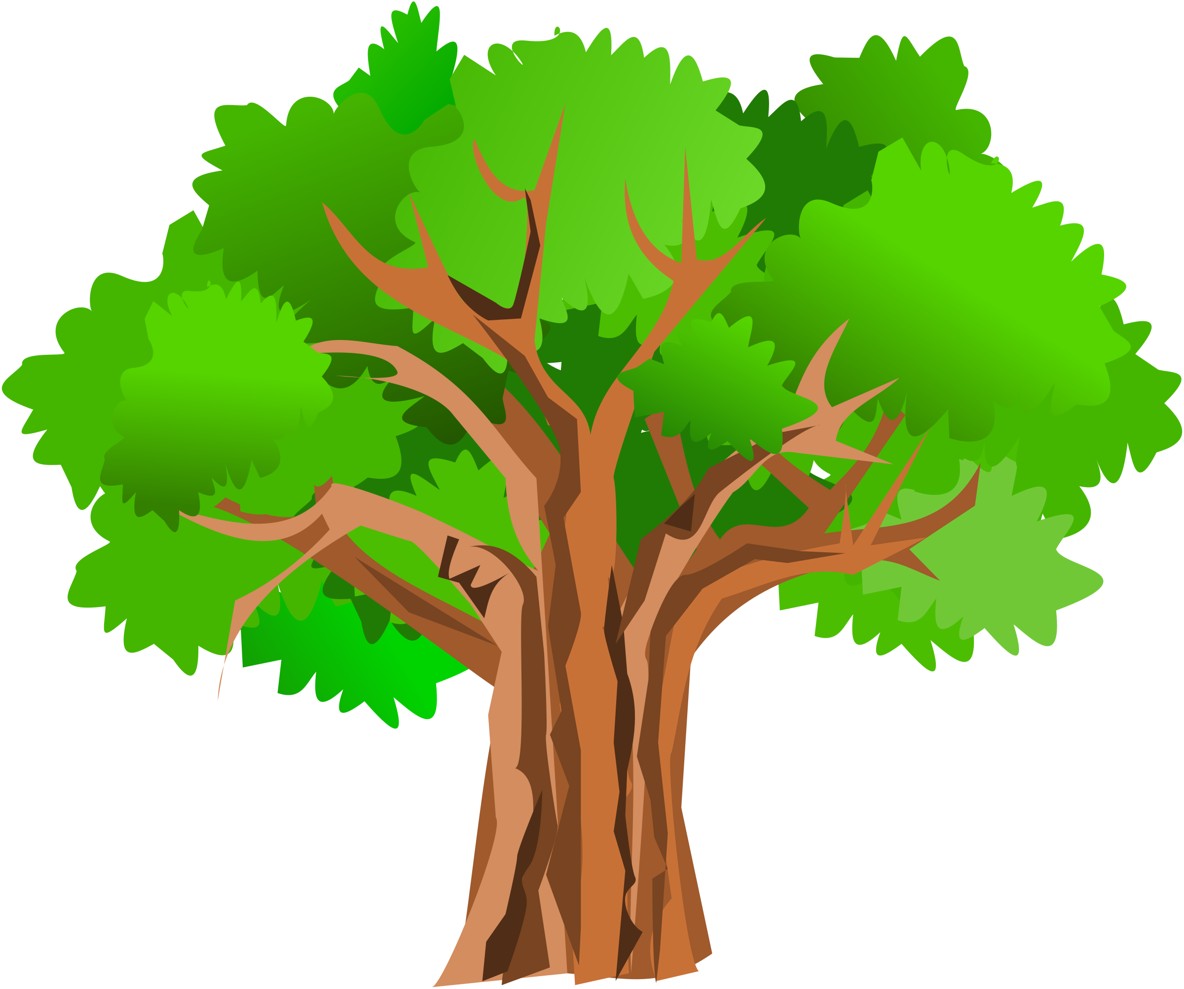 2400x2004 Big Tree Clipart
