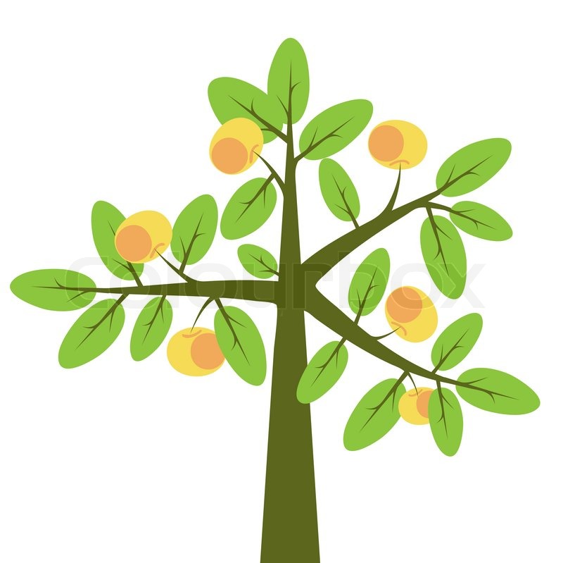 800x799 Blossom Clipart Pretty Tree