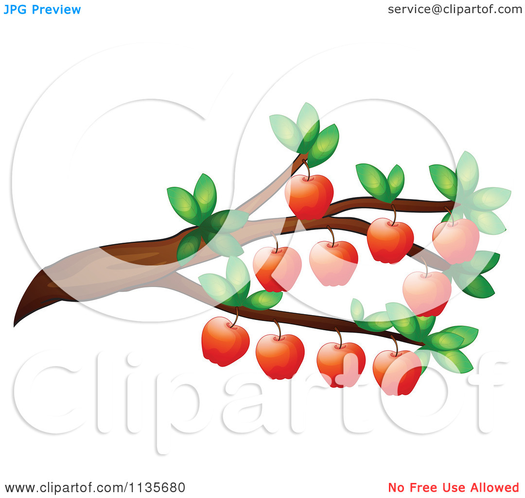 1080x1024 Branch Apple Clipart, Explore Pictures