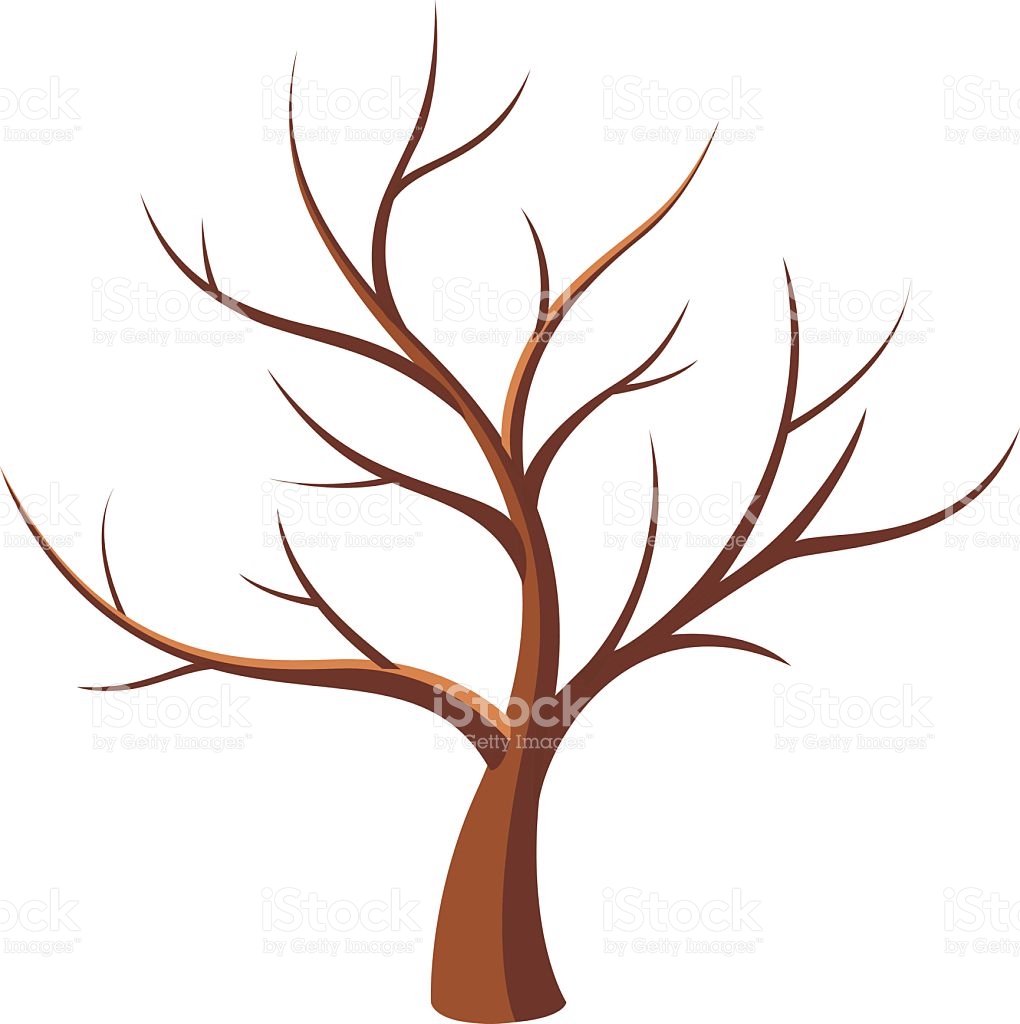1020x1024 Dead Tree Clipart Bare Tree Branch