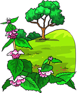 270x324 Clipart Trees And Flowers