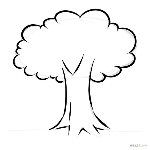 525x525 Trunk Clipart Tree Drawing