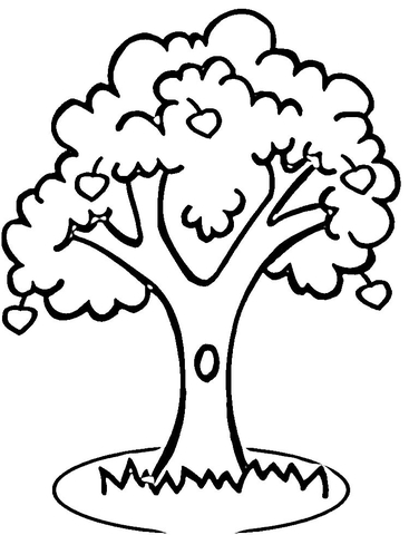 367x480 Apple Tree Coloring Page Free Printable Coloring Pages