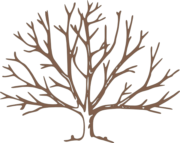 600x477 Bare Apple Tree Clipart 101 Clip Art