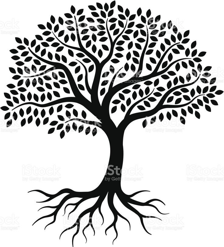 Apple Tree Drawing | Free download on ClipArtMag