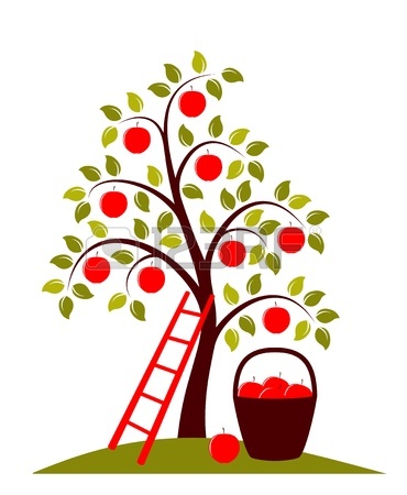 370x450 Vector Drawing Of An Old Apple Tree Royalty Free Cliparts, Vectors