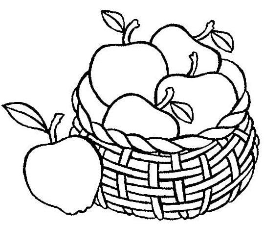540x461 Apple Clipart Balck White