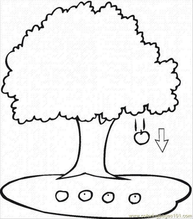650x735 Apple Tree 3 Coloring Page