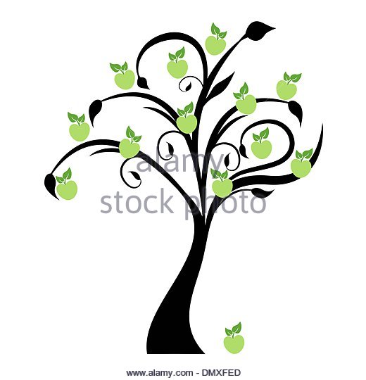 520x540 Apple Tree Spring Summer Autumn Winter Stock Photos Amp Apple Tree