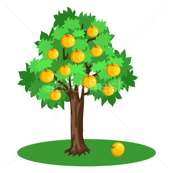 600x600 Apple Tree Isolated Stock Photos, Stock Images And Vectors