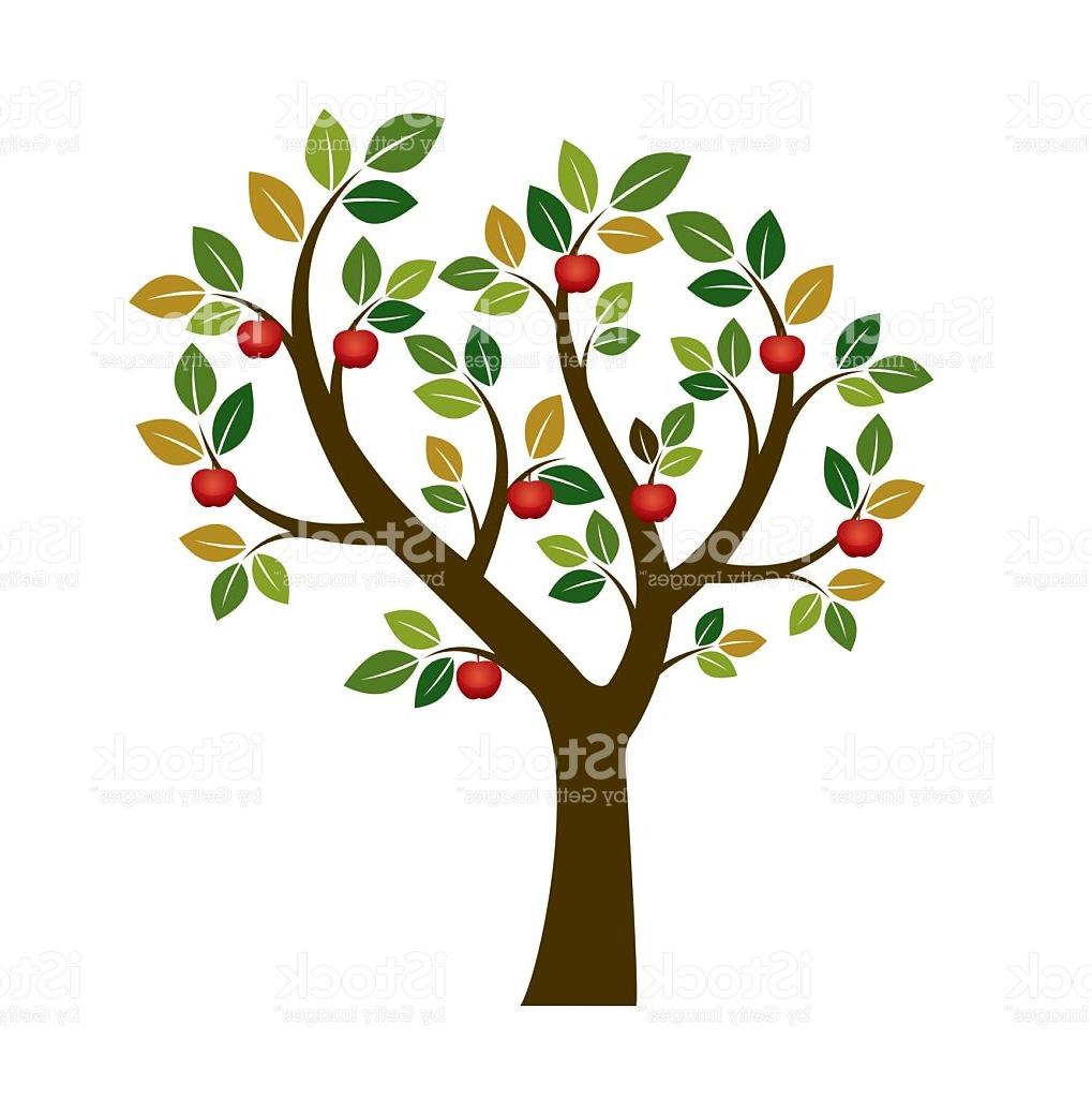 1019x1024 Best Free Color Apple Tree Vector Illustration Nature And Garden Image