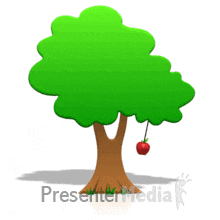 220x220 Apple Tree Gifs Search Find, Make Amp Share Gfycat Gifs