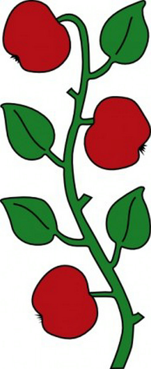 490x1197 Apple Tree Clipart