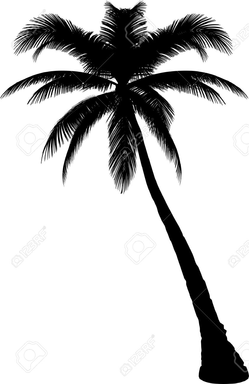 843x1300 Palm Tree Silhouette Clip Art Cliparts