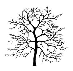 236x229 Silhouette Tree Branches