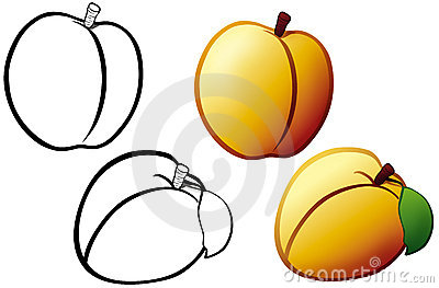 400x263 Apricot Clipart Black And White