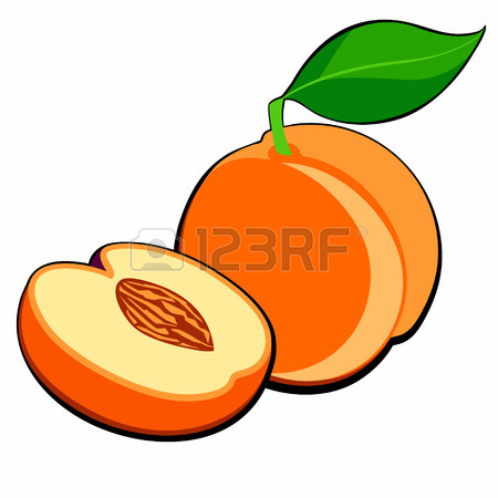 450x450 Apricot Royalty Free Cliparts, Vectors, And Stock Illustration